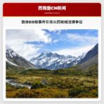 致命BB枪事件引非火药枪械法律争议