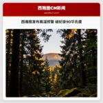 西雅图发布高温预警 破纪录90华氏度