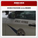 林伍德6岁男孩失联案 Amber警报解除