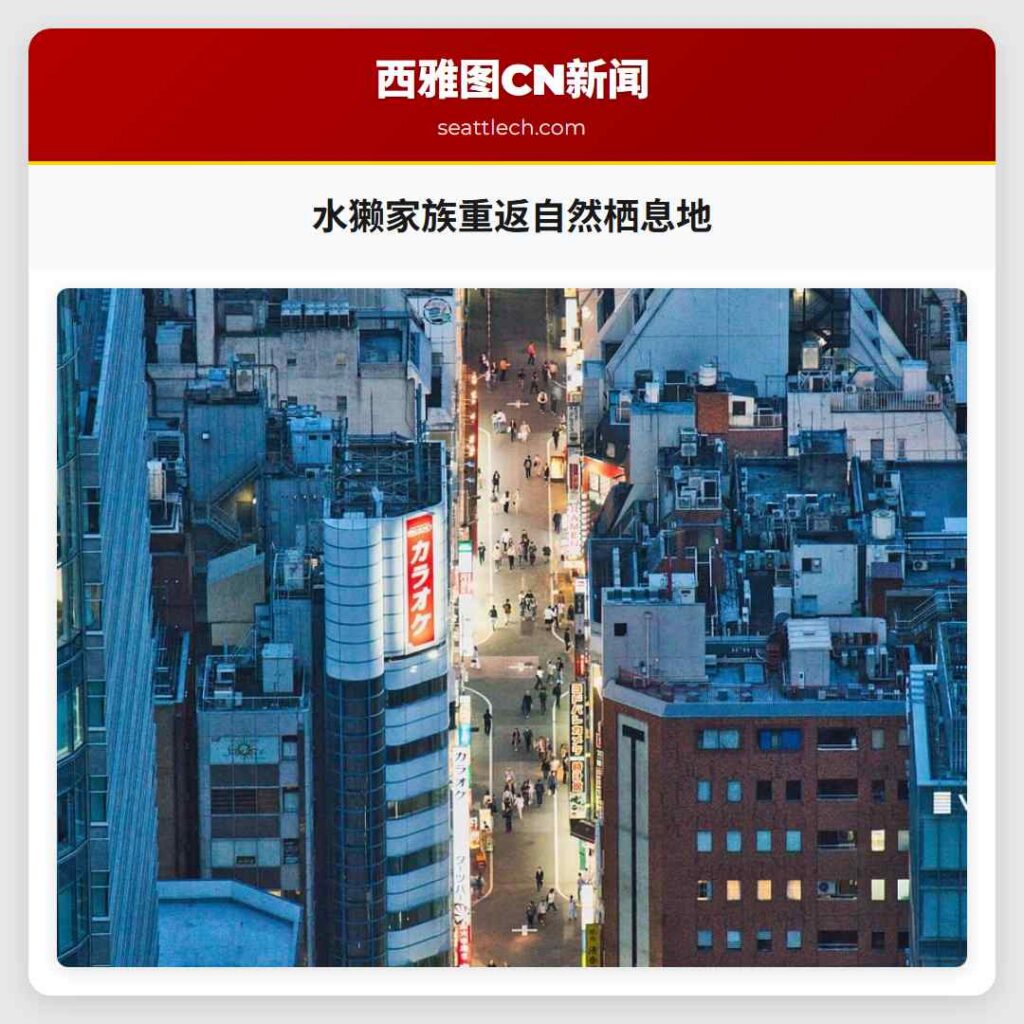 水獭家族重返自然栖息地