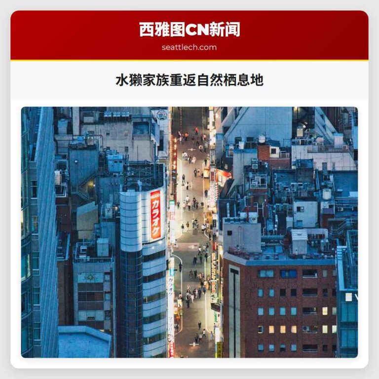 水獭家族重返自然栖息地