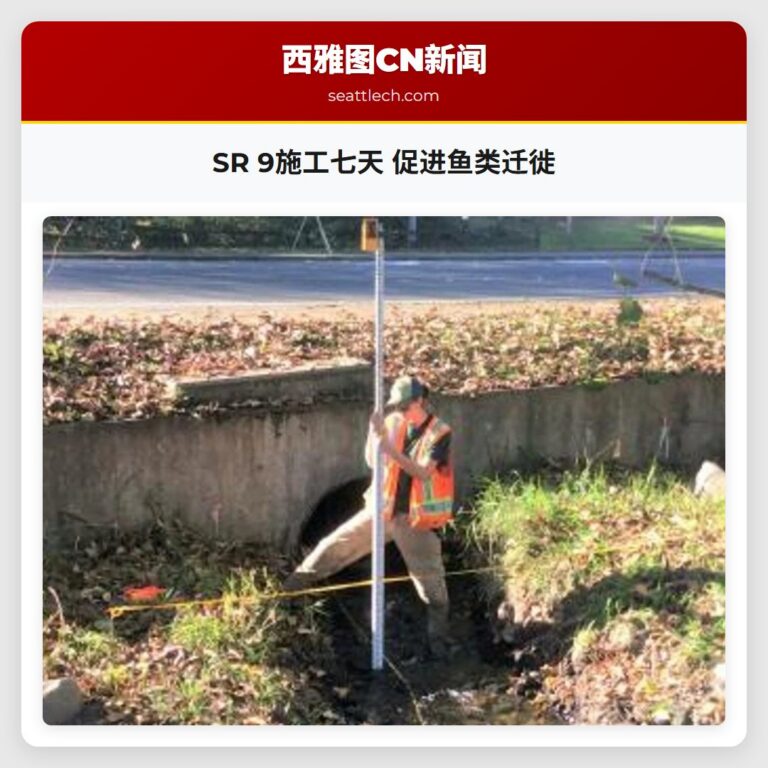 SR 9施工七天 促进鱼类迁徙
