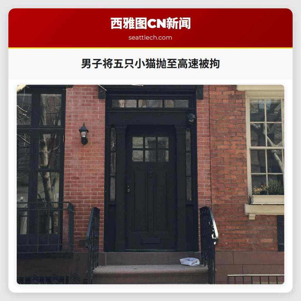 男子将五只小猫抛至高速被拘
