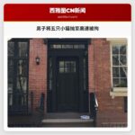 男子将五只小猫抛至高速被拘