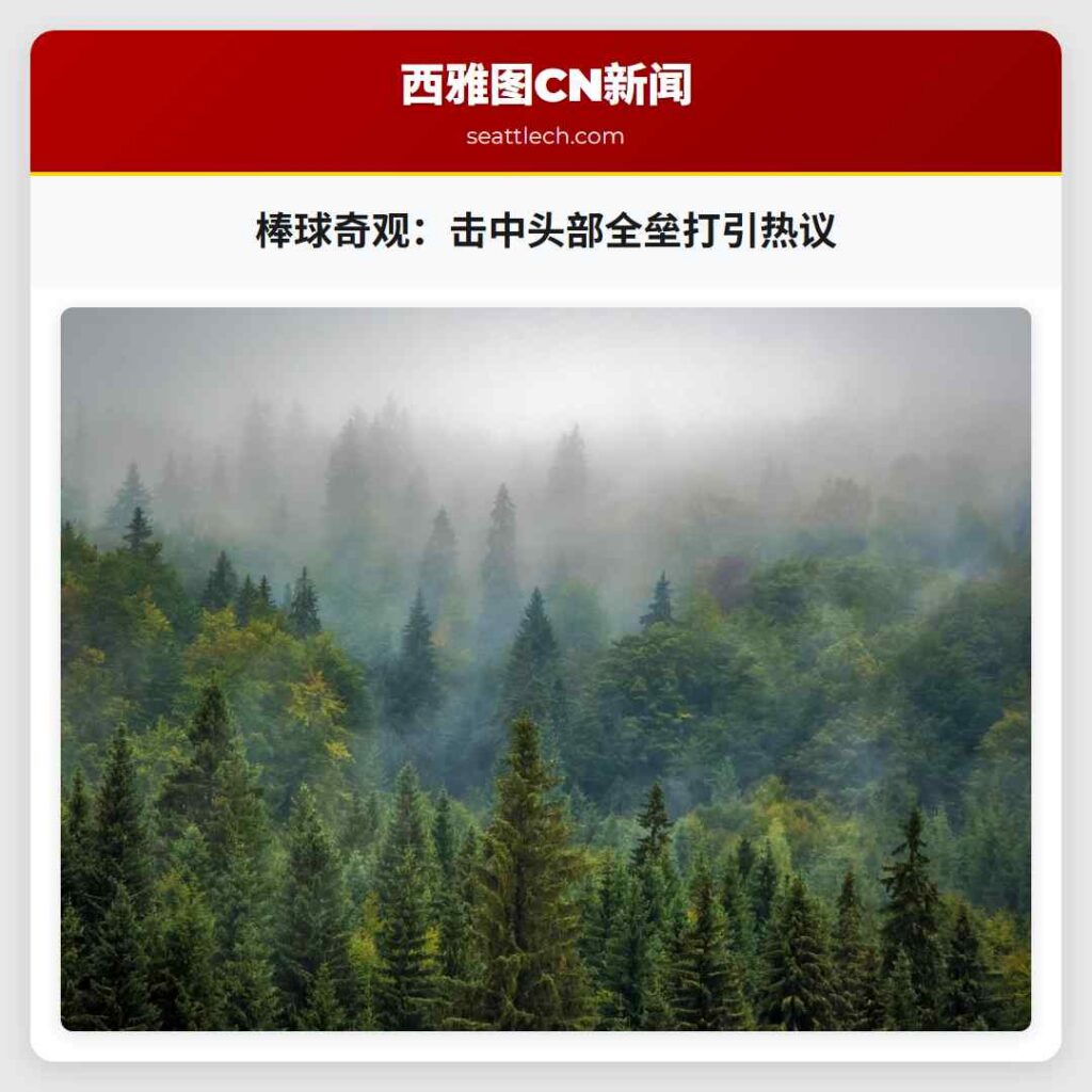棒球奇观:击中头部全垒打引热议