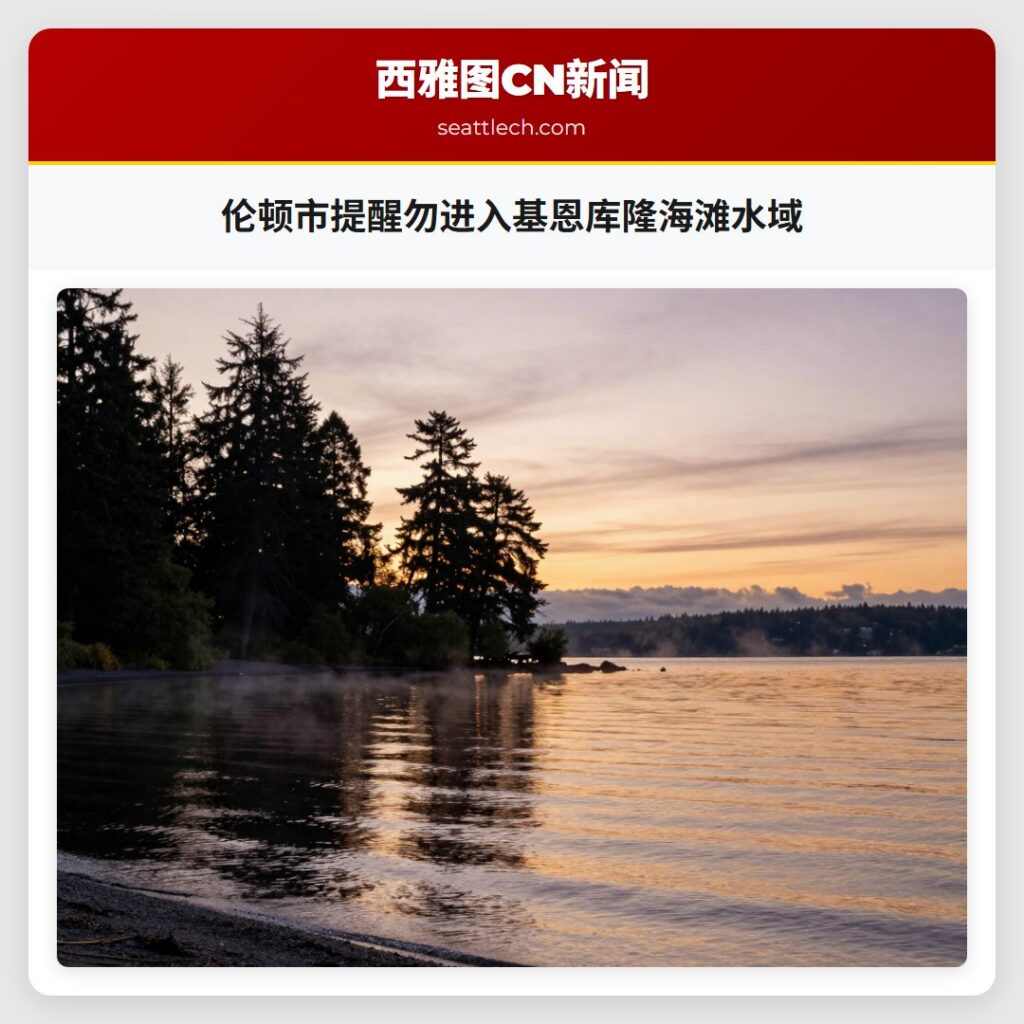 伦顿市提醒勿进入基恩库隆海滩水域