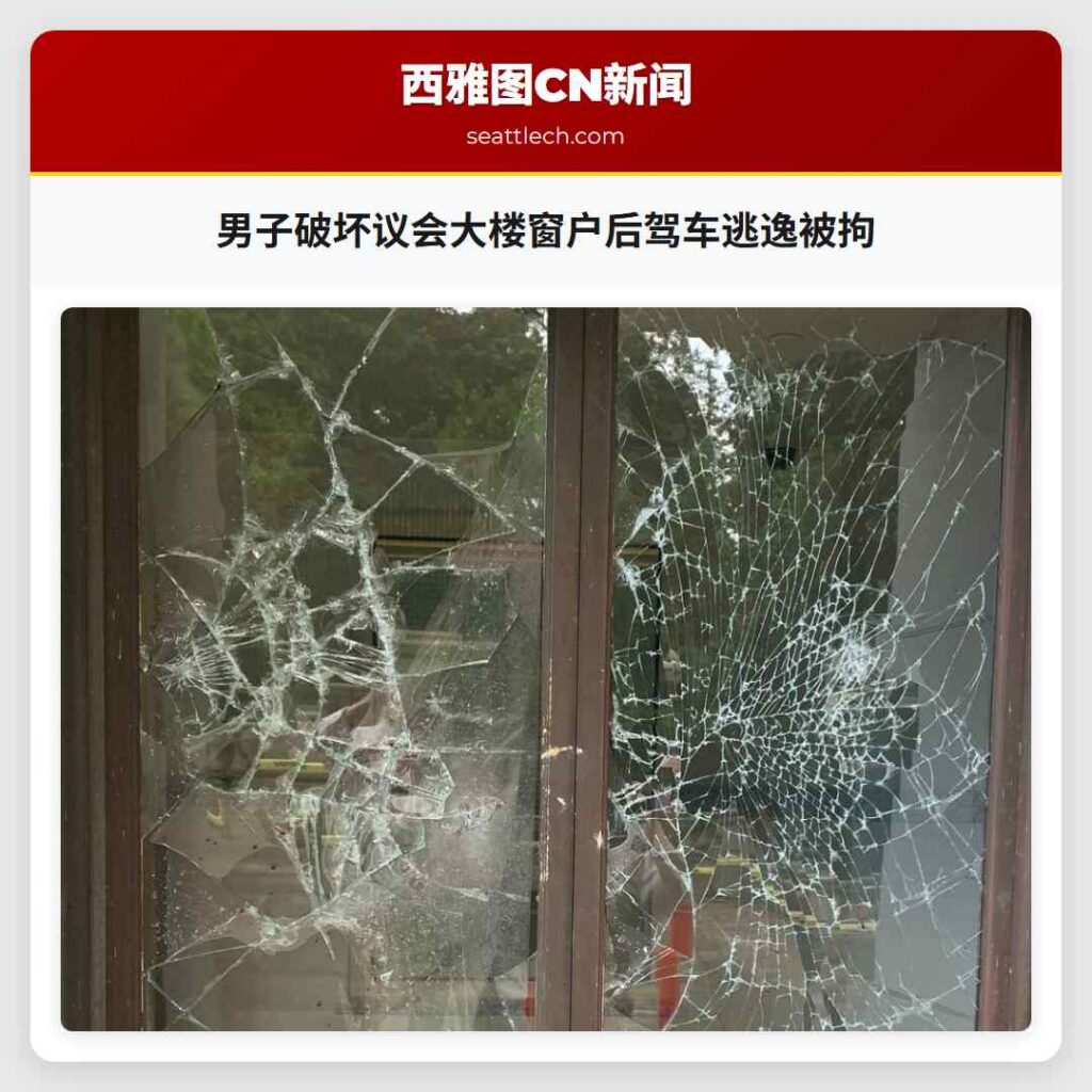 男子破坏议会大楼窗户后驾车逃逸被拘