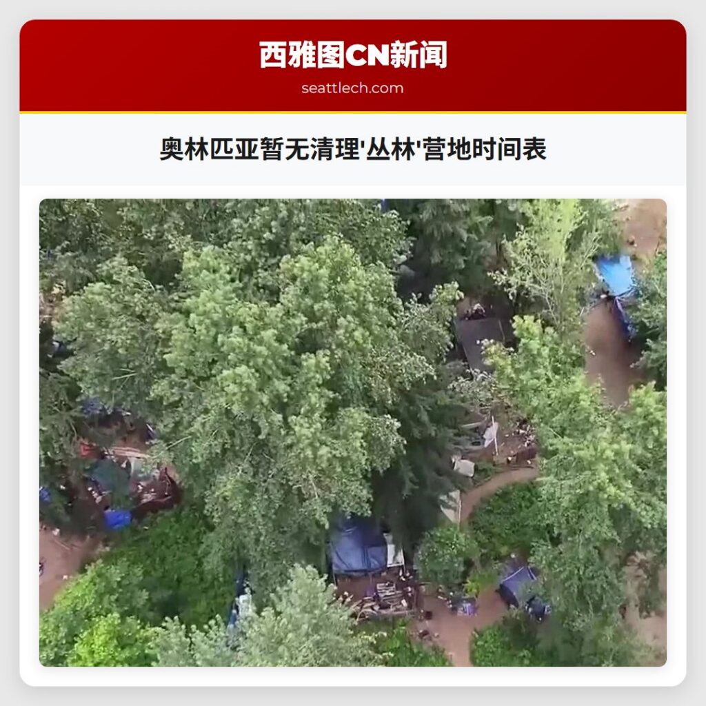 奥林匹亚暂无清理'丛林'营地时间表