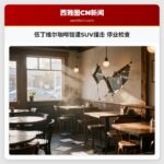 伍丁维尔咖啡馆遭SUV撞击 停业检查