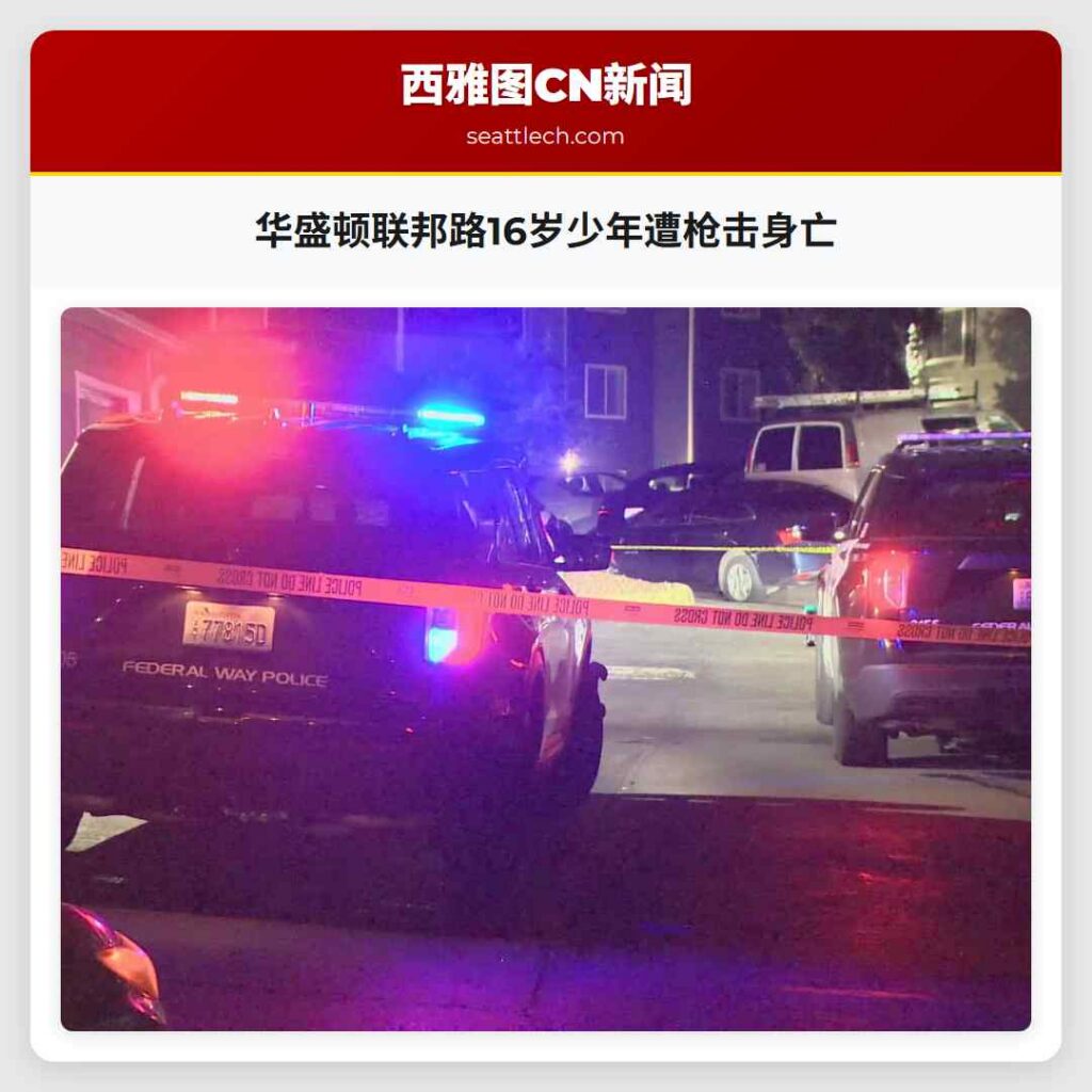 华盛顿联邦路16岁少年遭枪击身亡