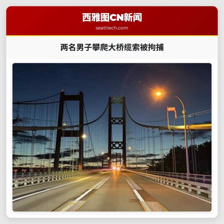 两名男子攀爬大桥缆索被拘捕