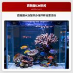 西雅图水族馆举办海洋杯投票活动