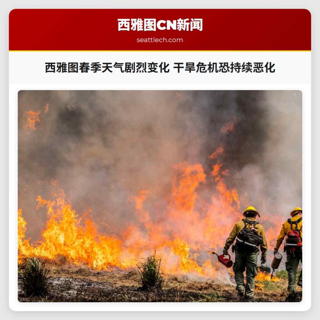 西雅图春季天气剧烈变化 干旱危机恐持续恶化