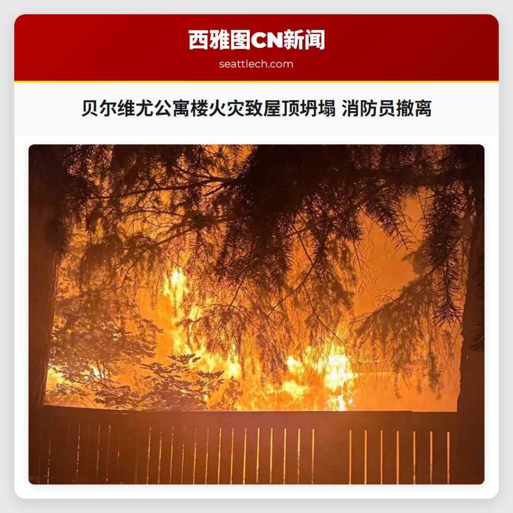 贝尔维尤公寓楼火灾致屋顶坍塌 消防员撤离