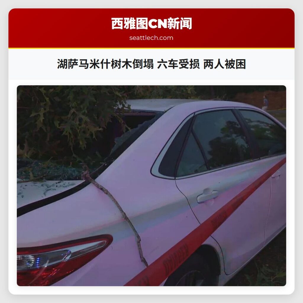 湖萨马米什树木倒塌 六车受损 两人被困