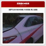 湖萨马米什树木倒塌 六车受损 两人被困