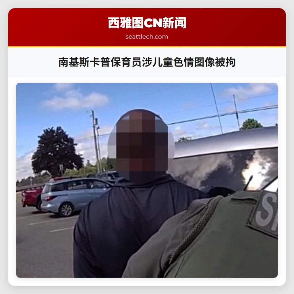 南基斯卡普保育员涉儿童色情图像被拘