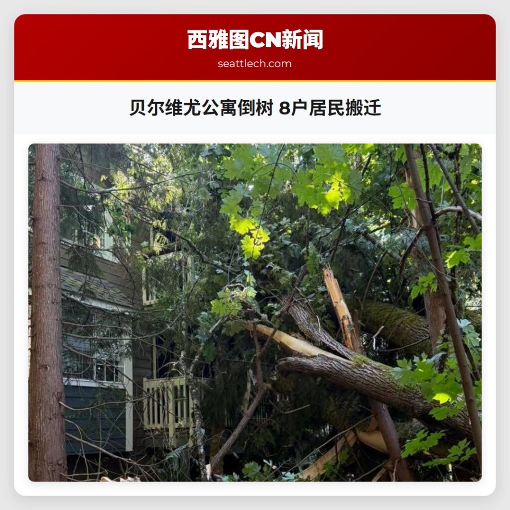 贝尔维尤公寓倒树 8户居民搬迁