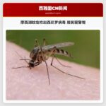 摩西湖蚊虫检出西尼罗病毒 居民需警惕