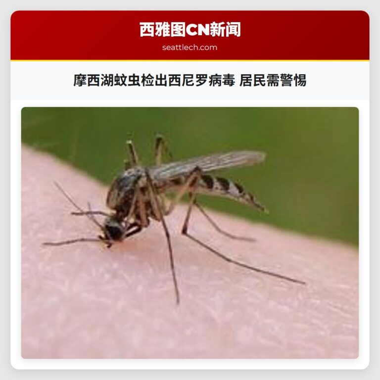 摩西湖蚊虫检出西尼罗病毒 居民需警惕