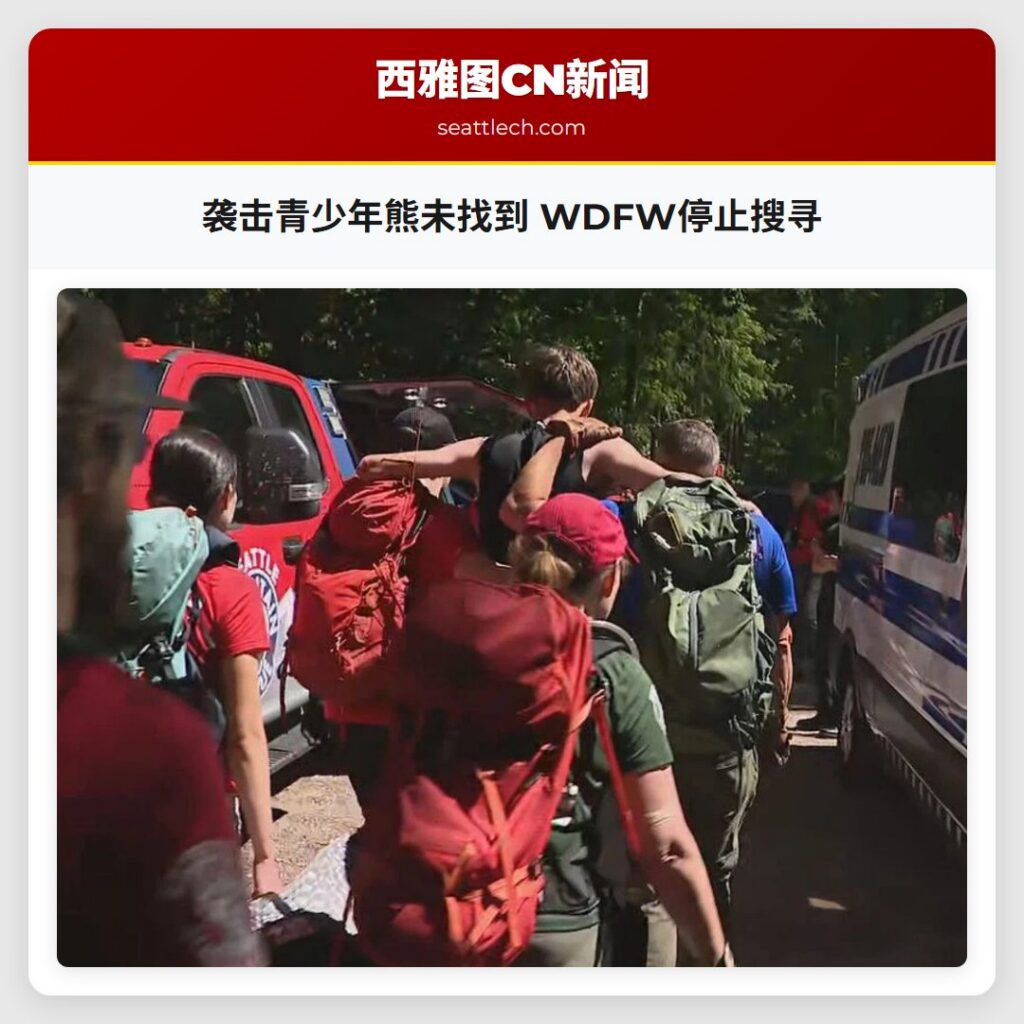 袭击青少年熊未找到 WDFW停止搜寻