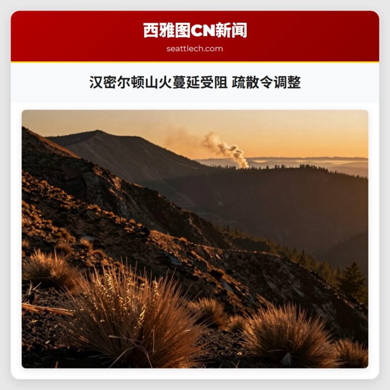 汉密尔顿山火蔓延受阻 疏散令调整