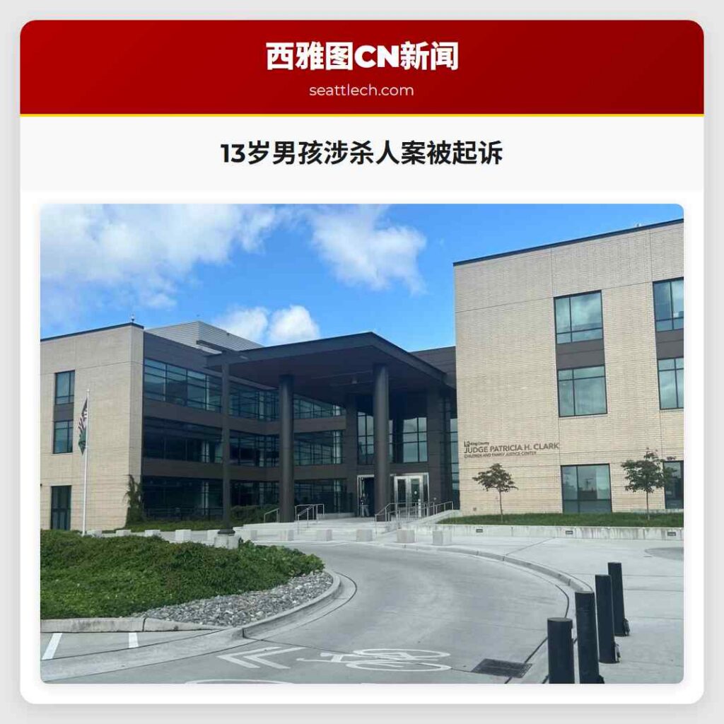 13岁男孩涉杀人案被起诉