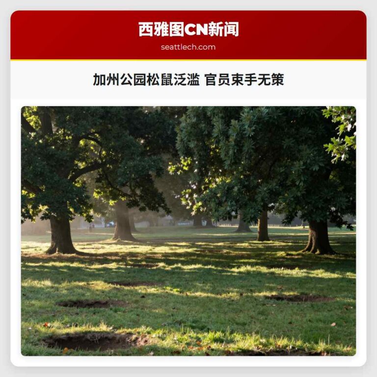 加州公园松鼠泛滥 官员束手无策