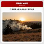 三级撤离令发布 羊林火灾逼近边界