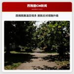 西雅图高温日增多 居民应对措施升级