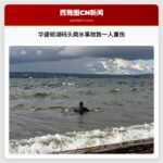 华盛顿湖码头跳水事故致一人重伤