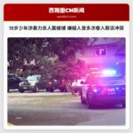 15岁少年涉暴力杀人案被捕 嫌疑人曾多次卷入帮派冲突