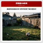美国球迷误解足球 世界杯前需了解关键知识
