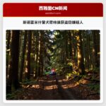 斯诺霍米什警犬密林擒获盗窃嫌疑人