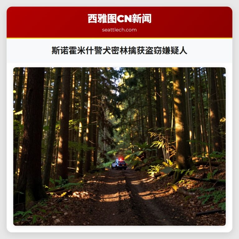 斯诺霍米什警犬密林擒获盗窃嫌疑人
