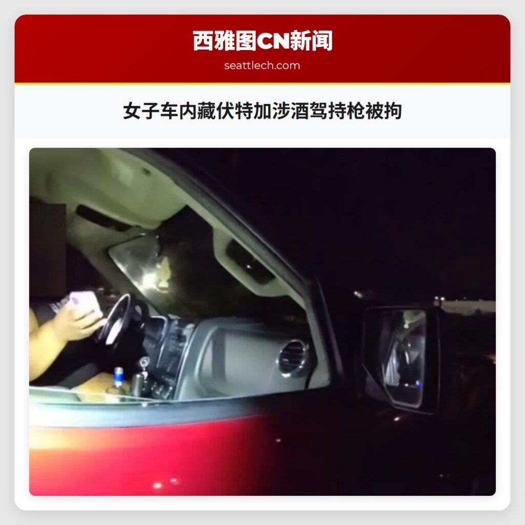 女子车内藏伏特加涉酒驾持枪被拘
