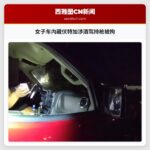 女子车内藏伏特加涉酒驾持枪被拘