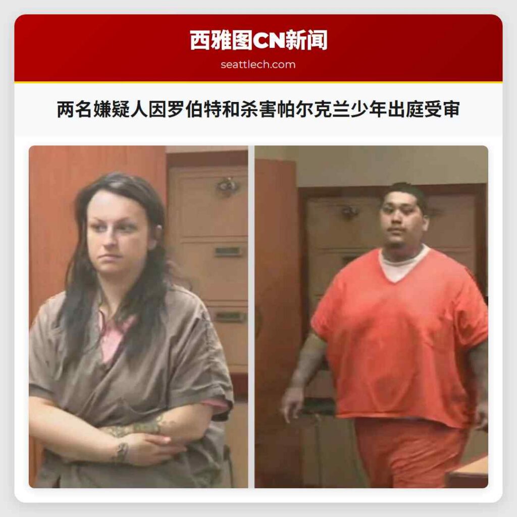 两名嫌疑人因罗伯特和杀害帕尔克兰少年出庭受审