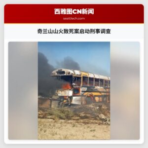奇兰山山火致死案启动刑事调查