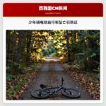 少年骑电动自行车坠亡引热议