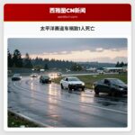 太平洋赛道车祸致1人死亡