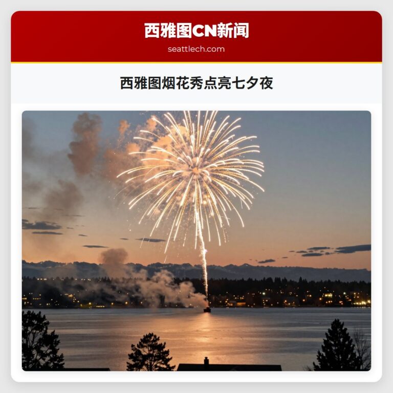 西雅图烟花秀点亮七夕夜