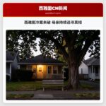 西雅图冷案未破 母亲持续追寻真相