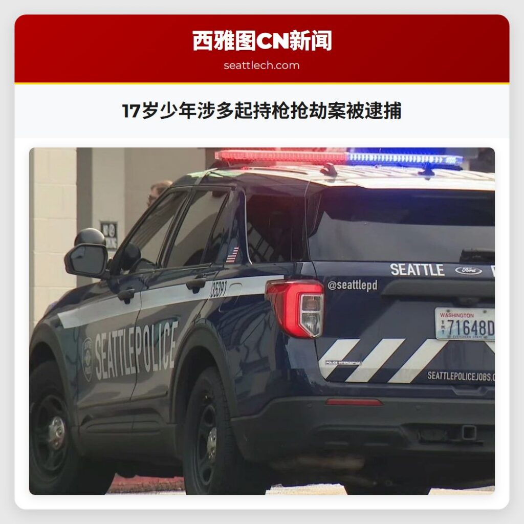 17岁少年涉多起持枪抢劫案被逮捕