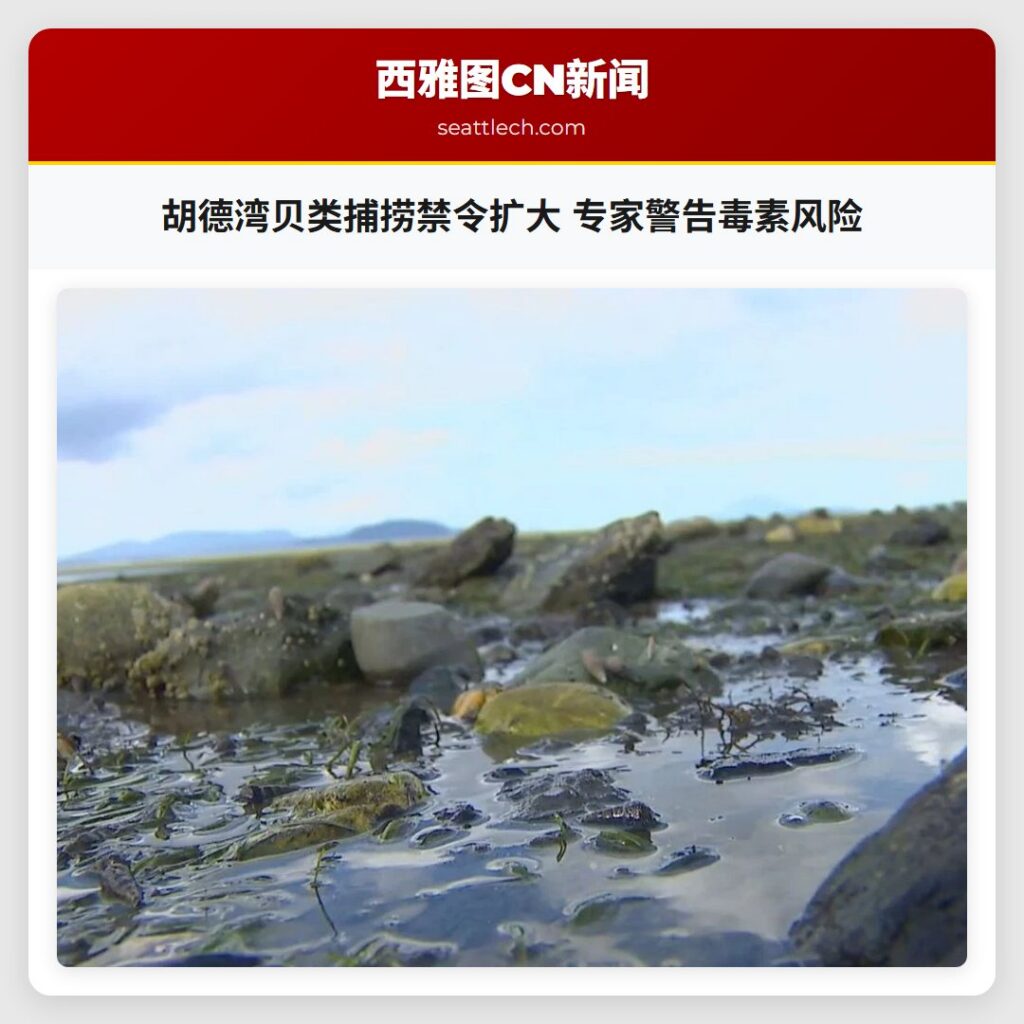 胡德湾贝类捕捞禁令扩大 专家警告毒素风险