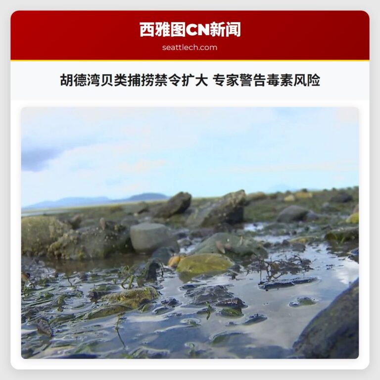 胡德湾贝类捕捞禁令扩大 专家警告毒素风险
