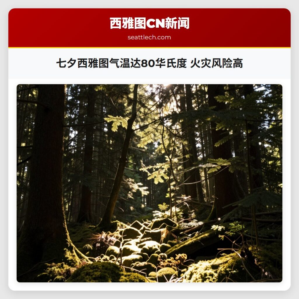 七夕西雅图气温达80华氏度 火灾风险高