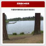 华盛顿州钢铁湖公园8岁男孩溺亡