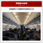 西雅图男子飞机猥亵女性获刑18个月