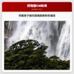 印度男子被控西雅图邮轮性骚扰